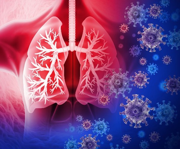 Illustration of human lungs in red with virus particles drifting across a blue background