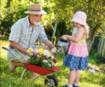 A grandfather in a straw hat gardens with a little girl beside a wheelbarrow of flowers